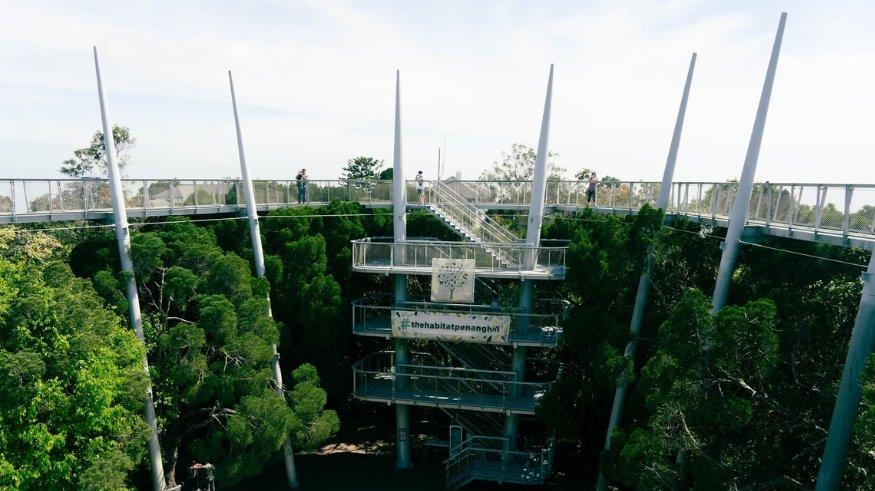 The Habitat Penang Hill.