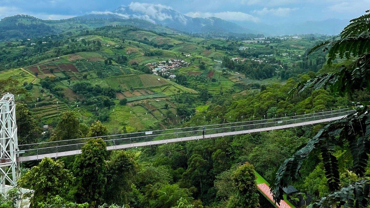 The Nice Funtastic Park Cianjur Jawa Barat punya jembatan gantung