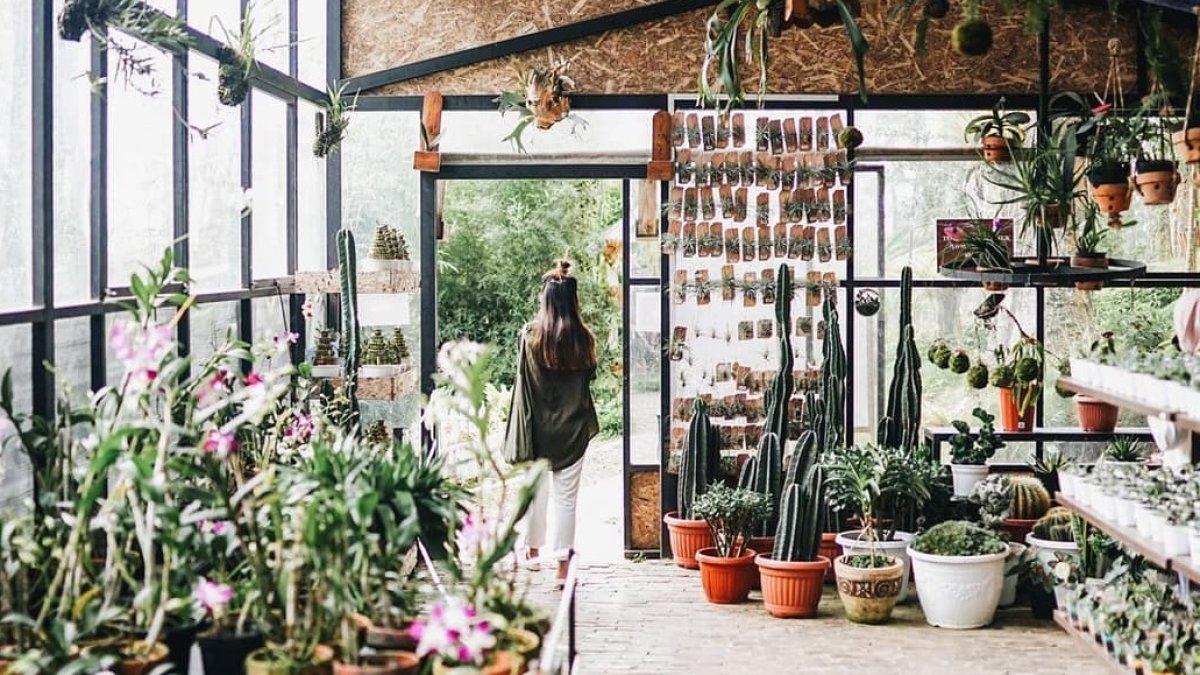 Toko yang menjual anggrek di Orchid Forest Cikole Lembang
