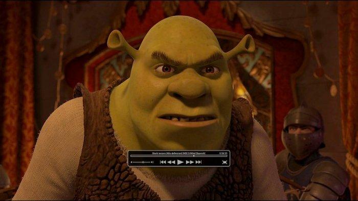 Tokoh kartun Shrek. Viral di TikTok ada filter baru seolah sedang ciuman dengan Shrek, bikin orang-orang ingat pacar dan mantan?