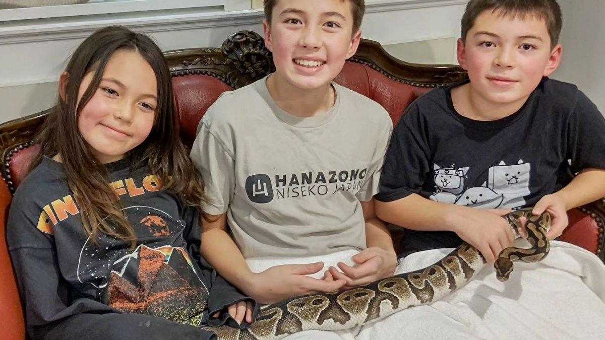 Tokyo Snake Center, satu kafe hewan terbaik di Tokyo Jepang.