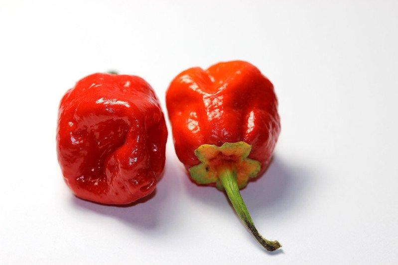 Trinidad Moruga Scorpion, satu cabai terpedas di dunia.
