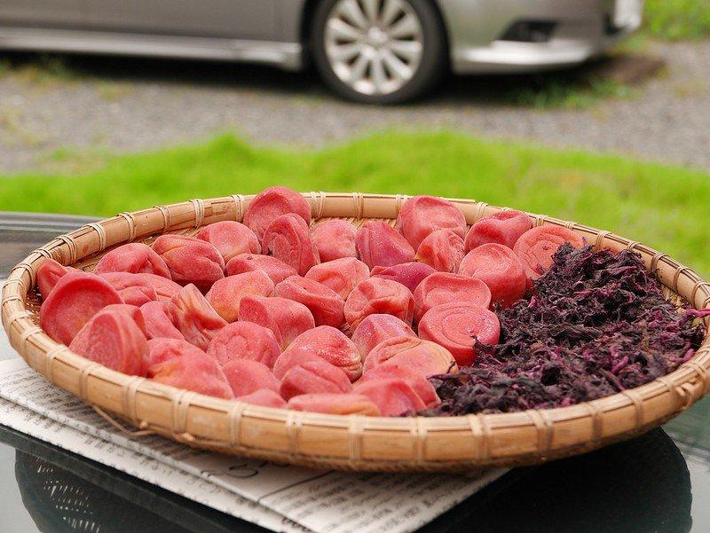 Umeboshi di Jepang yang sedang dibuat