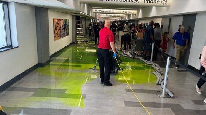 Viral cairan hijau aneh rembes dari atap bandara sampai membanjiri area terminal Bandara Internasional Miami, Amerika Serikat.