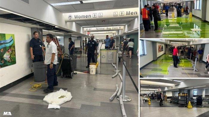 Viral cairan hijau aneh rembes dari atap bandara sampai membanjiri area terminal Bandara Internasional Miami, Amerika Serikat.