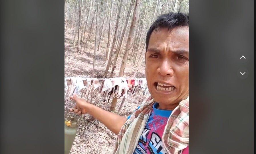 Viral video penemuan puluhan bra dan celana dalam di perkebunan.