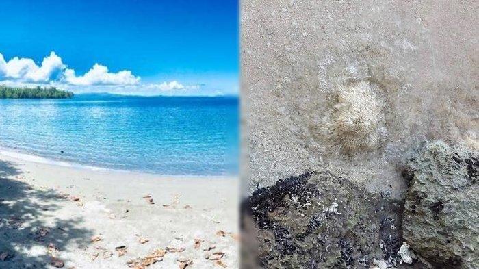 WISATA TALAUD: Pantai Aresa Rainis Batupenga di Talaud. Ada Mata Air Jernih di Bibir Pantainya