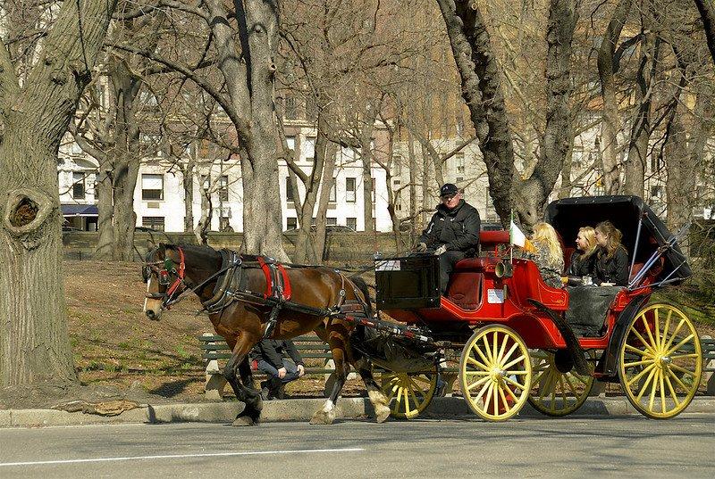 Wahana Kereta Kuda Central Park, satu jebakan turis di New York City.