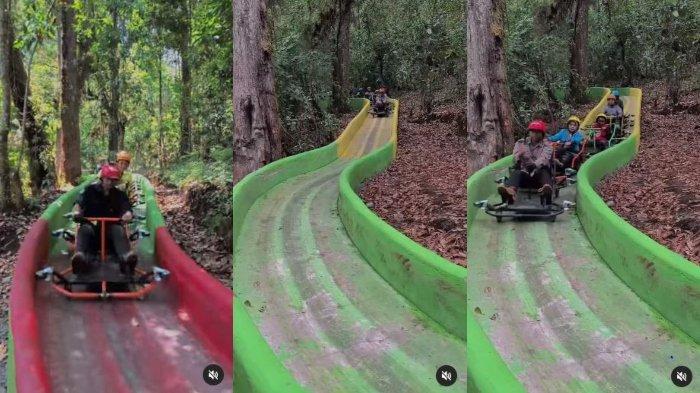 Wahana Tamiya Coaster atau naik mobil tamiya di Lawu Green Forest