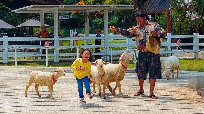 Cimory Dairyland Farm Theme Park Puncak atau dulunya dikenal dengan Cimory Dairyland Puncak hadirkan wahana baru yaitu Shaun the Sheep dan Bitzer mulai 3 Desember 2023 sampai 25 Februari 2024 mendatang.