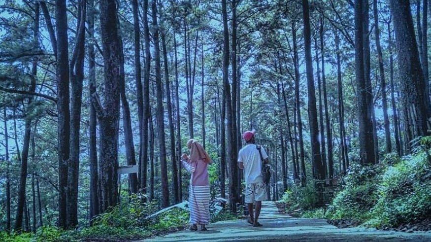 Wana Wisata Sreni Indah Jepara: Lokasi, Daya Tarik, Harga Tiket Masuk