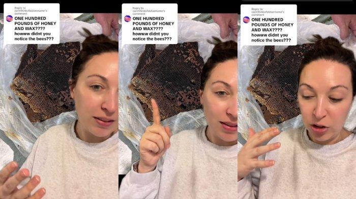 Wanita mengumpulkan madu sampai 3 trashbag dari lebah madu yang bersarang di tembok kamarnya.