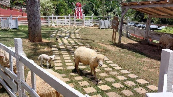 Wisata Edukasi Farmora di Bandar Lampung.