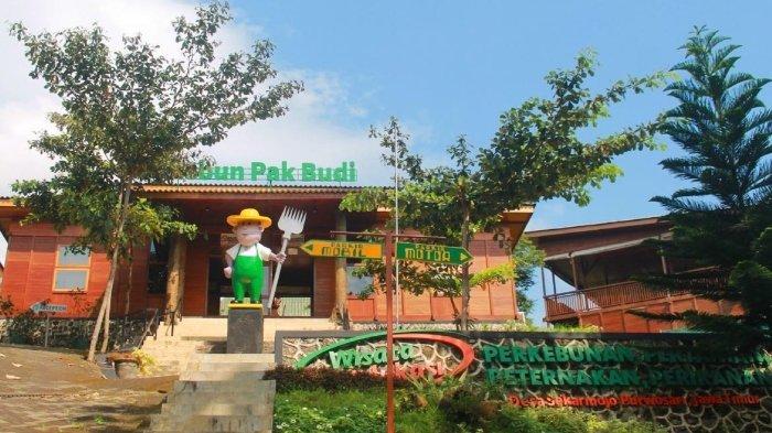 Wisata Kebun Pak Budi, destinasi populer di Pasuruan, Jawa Timur yang cocok untuk liburan akhir pekan.