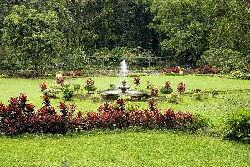Kebun Raya Bogor, salah satu rekomendasi tempat wisata di Bogor.