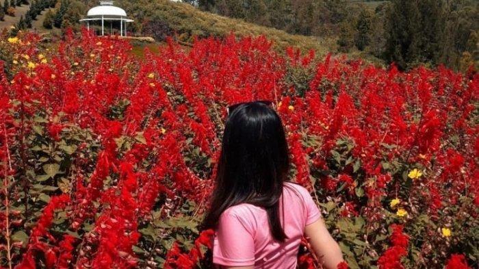 Wisata Sapo Juma berada di Jalan Tongging - Silalahi, Tongging, Merek, Kabupaten Karo, Sumatera Utara.