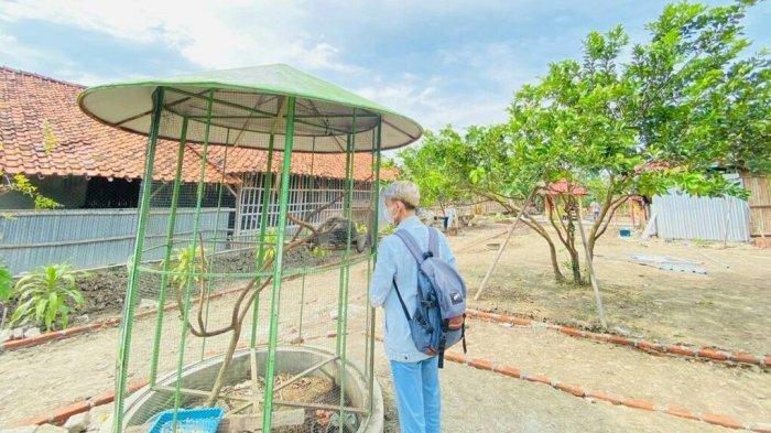 Area kebun buah dan kebun binatang mini yang tersedia di Wahana Kebun Buah yang beralamat di Jalan Raya Banjaran-Balamoa Kilometer 4, atau 100 meter dari arah Desa Lebeteng (sebelah selatan rest area 282 tol Trans Jawa Pejagan-Pemalang), Kecamatan Pangkah, Kabupaten Tegal, Jawa Tengah, Senin (23/1/2023).