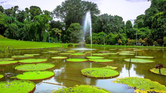 Wisata di Bogor, Kebun Raya Bogor