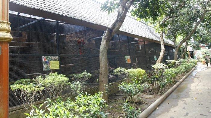 Wisata mini zoo di Taman Ria Suropati Kecamatan Gondang Wetan, Pasuruan, Jawa Timur.
