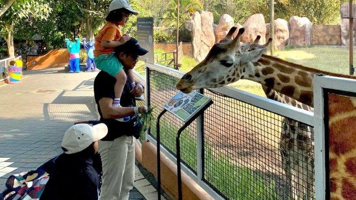 Jatim Park 2, satu tempat wisata di Kota Batu Jawa Timur buat dikunjungi bareng keluarga saat libur sekolah.