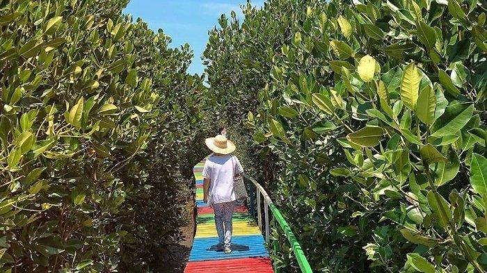 Potret wisatawan liburan ke Hutan Mangrove Lantebung di Desa Bira, Tamalanrea, Kota Makassar, Sulawesi Selatan.