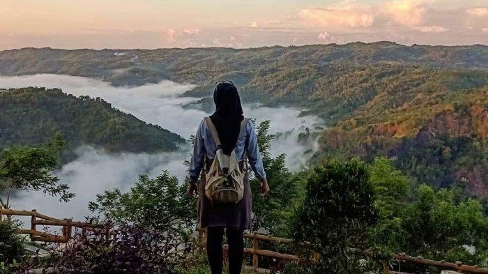Wisatawan menikmati indahnya pemandangan di Kebun Buah Mangunan Bantul, Jogja.