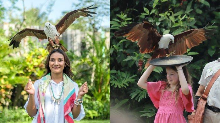 Bali Bird Park.