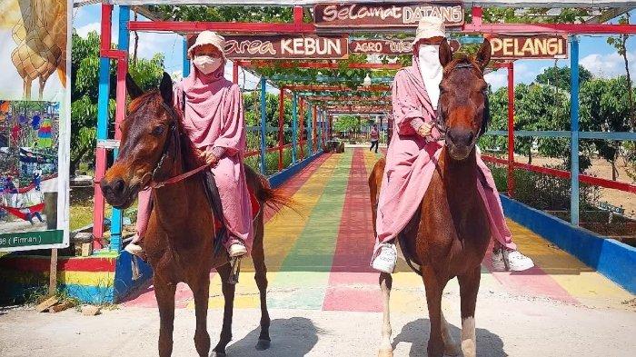 Wisatawan nyobain wisata berkuda di Agro Wisata Pelangi Pekanbaru, Riau.
