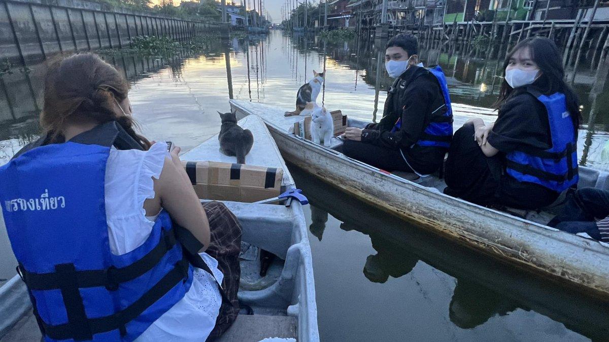 Wisatawan yang mengikuti tur perahu bareng kucing di Si Yaek Huatakhe Cafe & Guesthouse Bangkok Thailand
