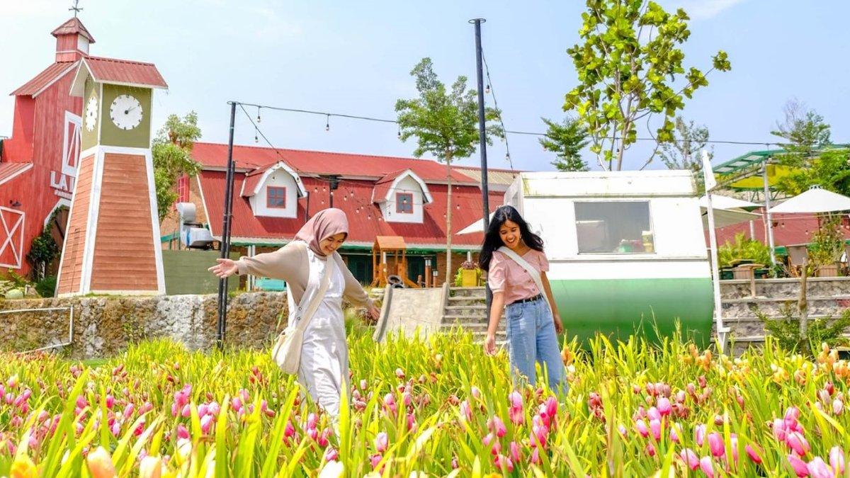 Wisatawan yang menikmati pemandangan bunga di La Li Sa Farmer's Village Jogja