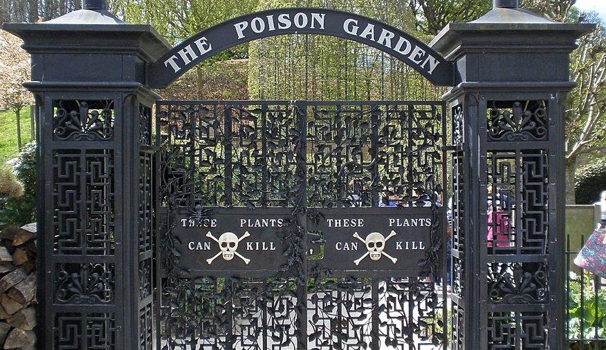 Wisatawan yang menjelajahi The Poison Garden di Alnwick Garden Inggris