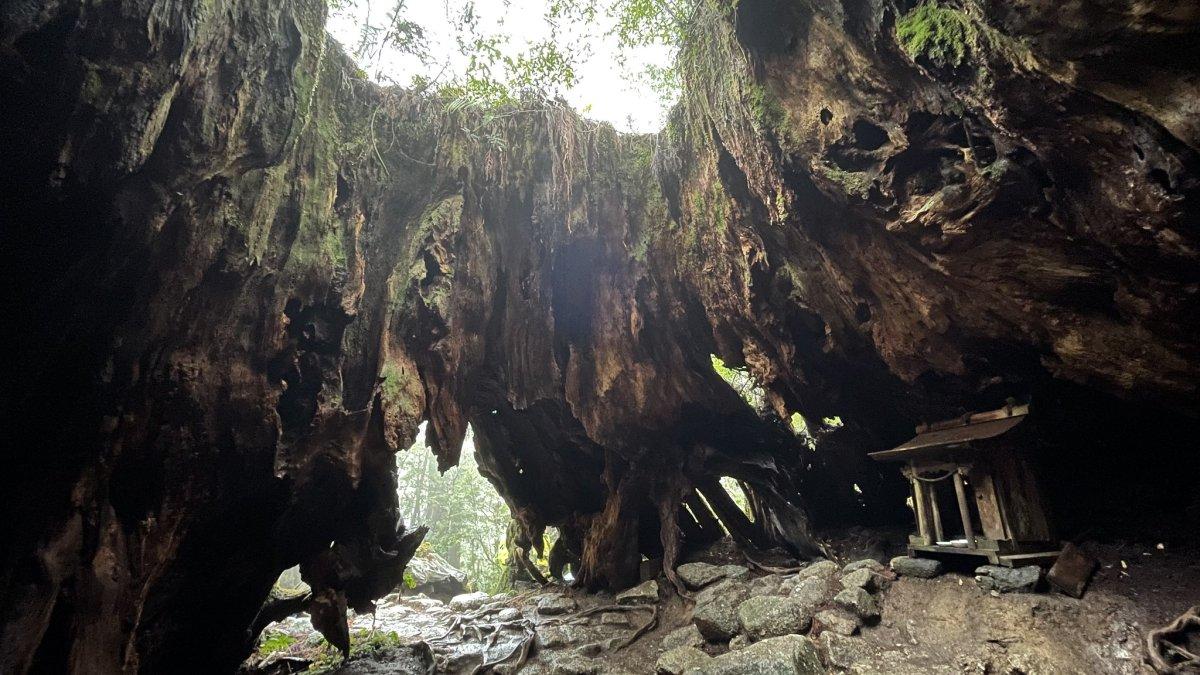 Yakushima, satu pulau terpencil di Jepang yang menarik buat kamu jelajahi.