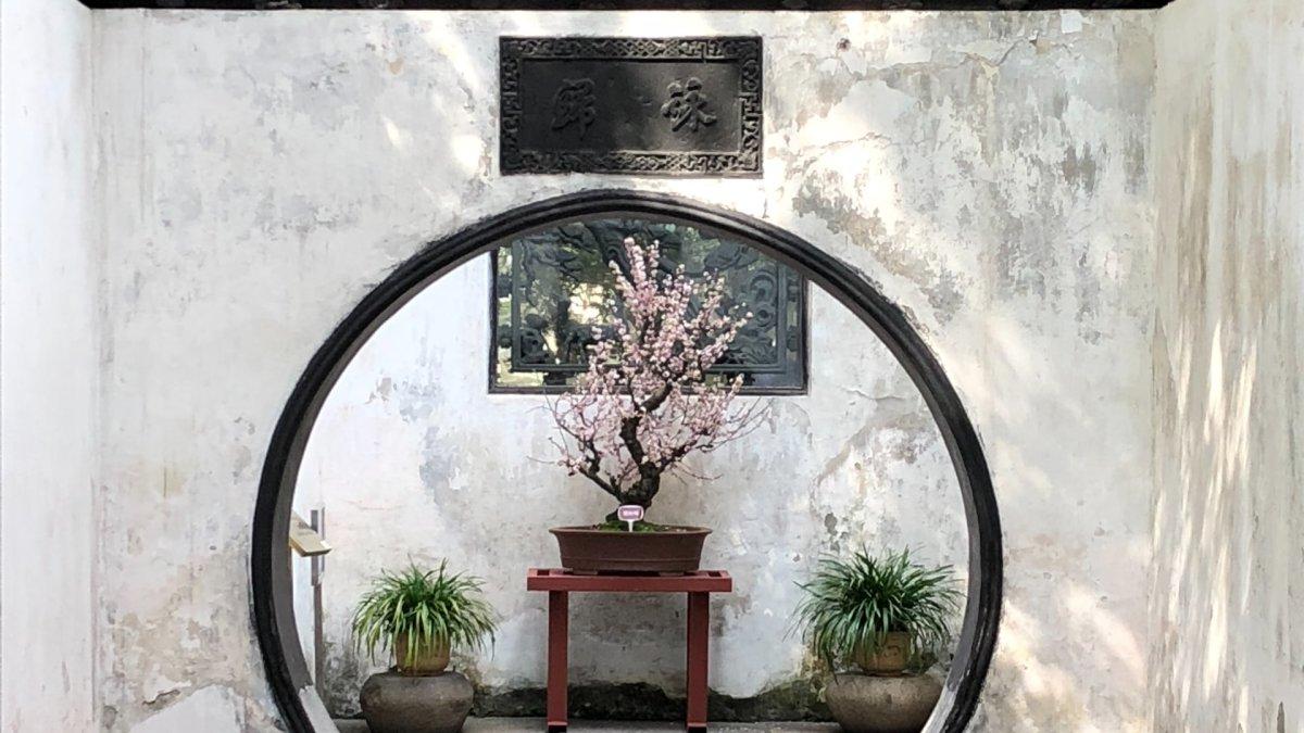 Yu Garden di Shanghai adalah tempat ajaib di mana alam dan arsitektur digunakan dalam keseimbangan artistik yang harmonis.