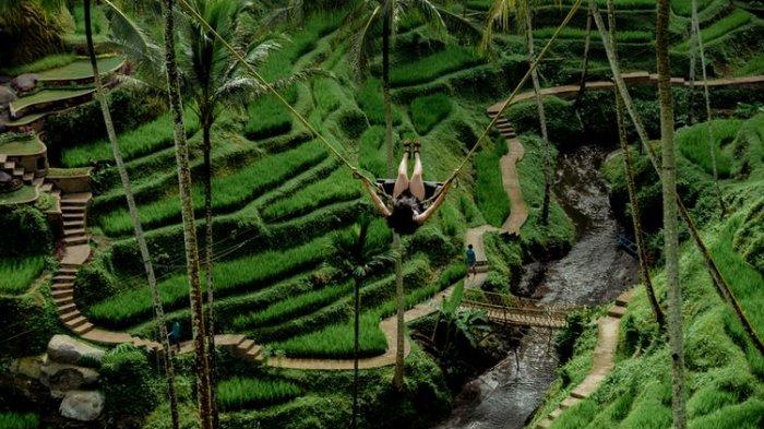 Alas Harum Agrotourism di Tegallalang, Bali