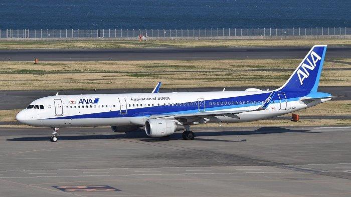 Maskapai All Nippon Airways.
