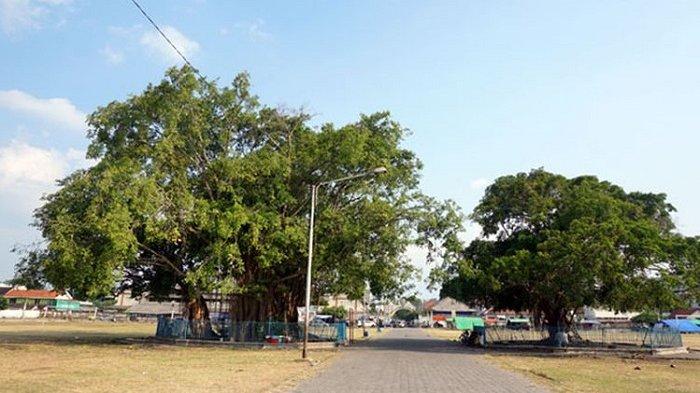 Alun-alun Kidul Keraton Surakarta, Jawa Tengah. Alun-alun Kidul memang cukup ramai pengunjung, terutama saat sore hari,
begitu pula saat bulan Ramadhan tiba. Biasanya masyarakat berkumpul dari sore hingga menjelang buka untuk berbagai aktivitas. Mulai dari sekadar nongkrong, berburu kuliner, berswafoto dan lain sebagainya.