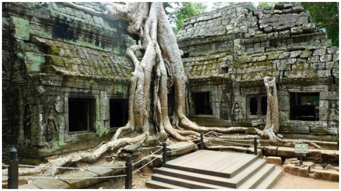 Reruntuhan kuno di Ta Prohm atau Kuil Rajavihara di Angkor, Siem Reap, Kamboja.