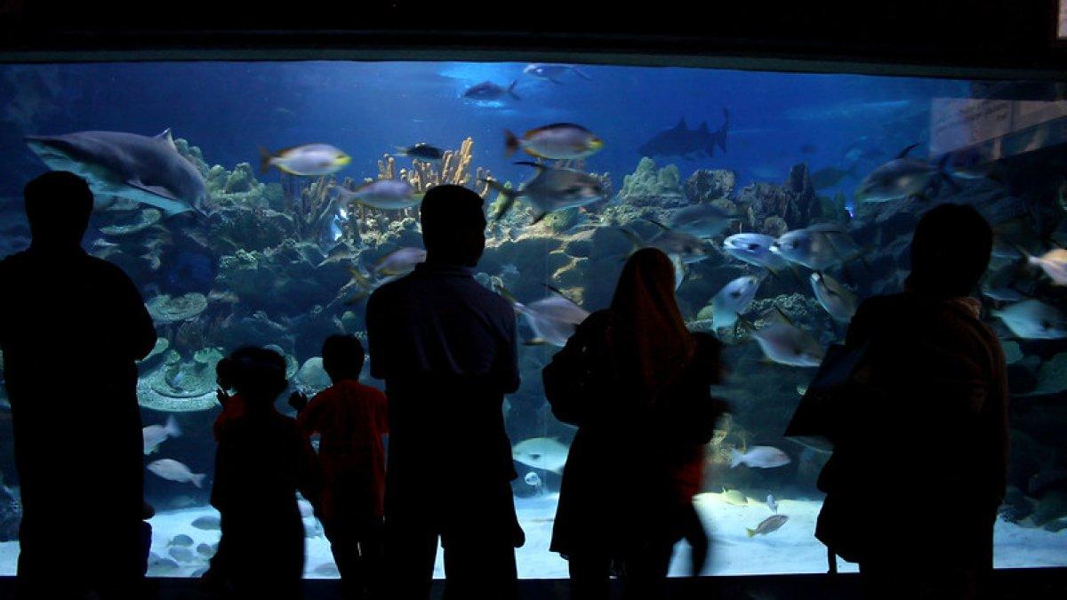 Aquaria KLCC, Kuala Lumpur, Malaysia.