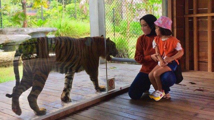 Area wisata cakar di Kebun Binatang Gembira Loka