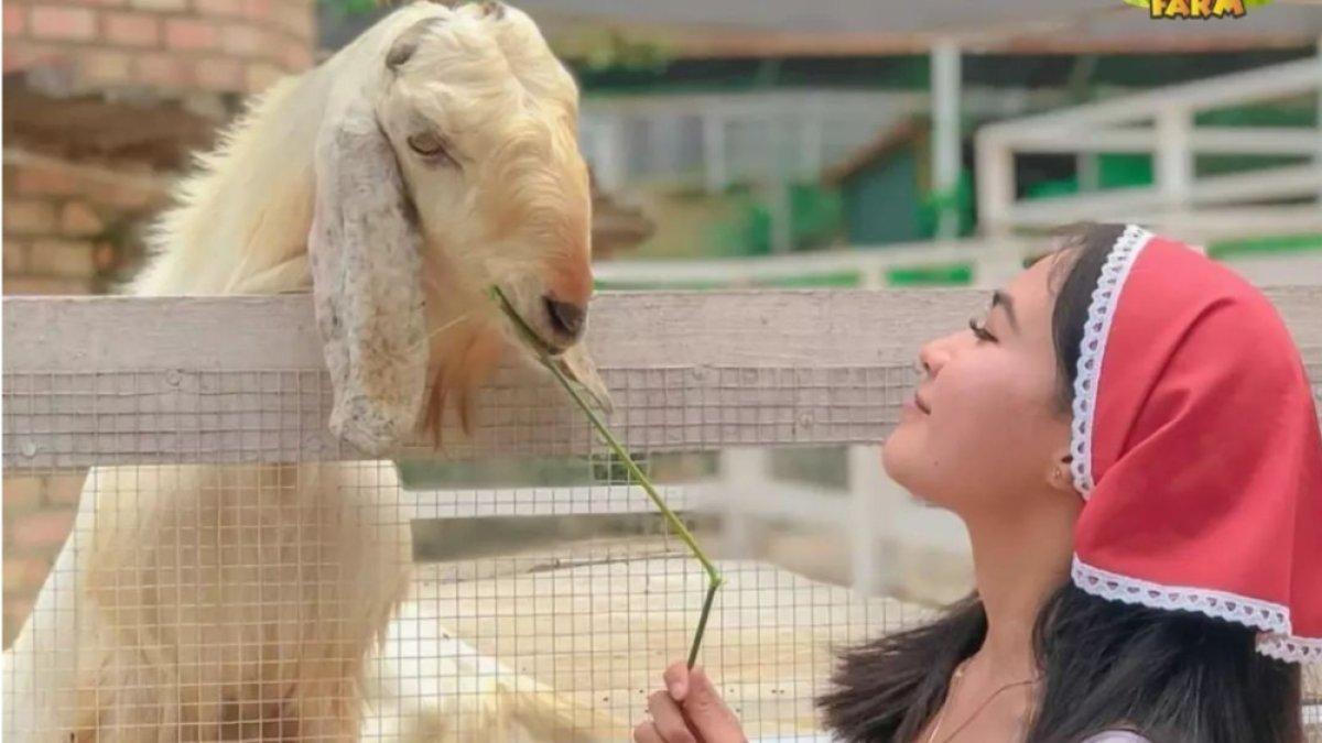 Asia Farm, rekomendasdi tempat wisata hits di Pekanbaru, Riau