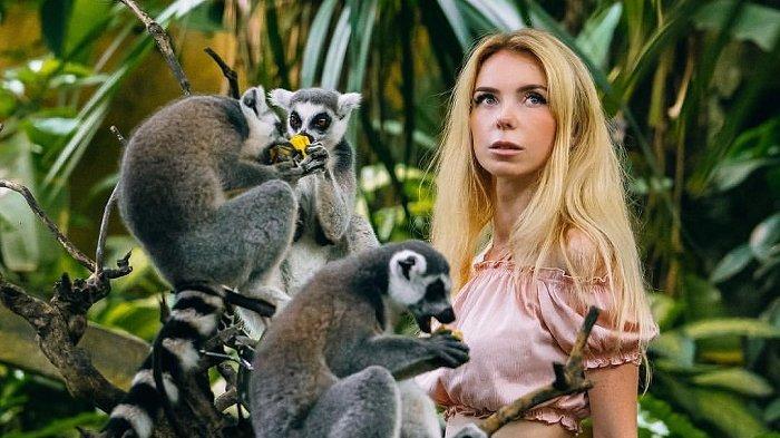 Wisatawan berfoto dengan satwa di Bali Zoo.