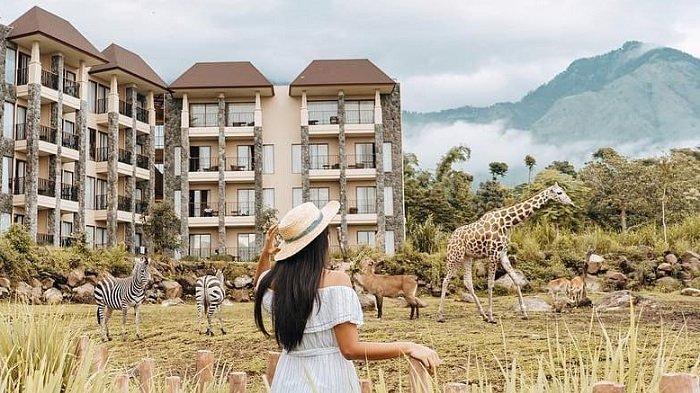 Baobab Safari Resort, fasilitas penginapan di Taman Safari Prigen.