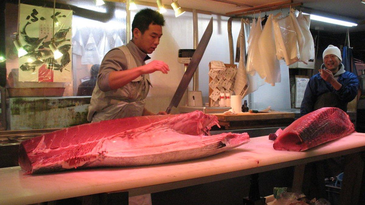 Beberapa foto dari Pasar Tsukiji, Tokyo, Jepang