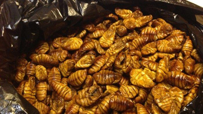 7 Kuliner Ekstrem di Korea Selatan, Beondegi Terbuat dari Pupa Ulat Sutera yang Direbus - Tribun Travel