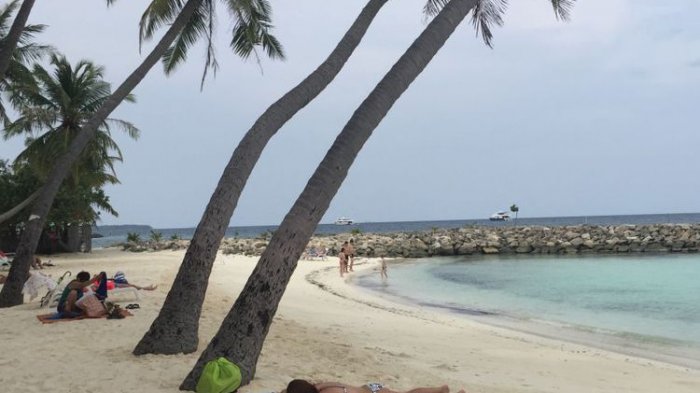 Bikini Beach di Pulau Maafushi, Maldives, bisa diintip dari pinggir jalan. Pantai khusus ini dipagari dengan pelepah pohon kelapa yang disusun rapat, setinggi sekitar 1,5 meter.