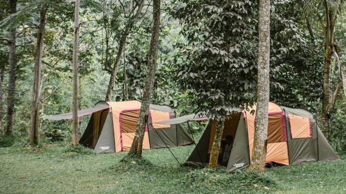 Pengunjung sedang berinteraksi dengan hewan ternak di Boemisora, tempat wisata terbaru di Polobogo, Getasan, Kabupaten Semarang, Jawa Tengah.