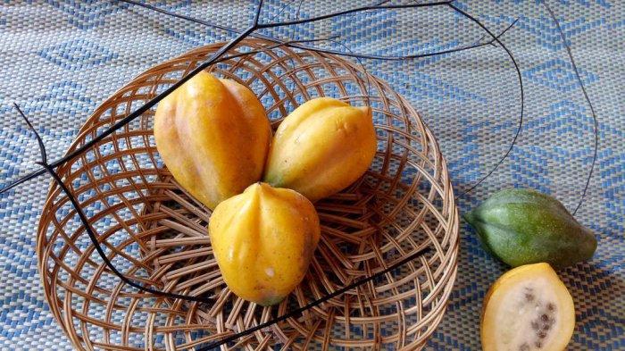 Carica.