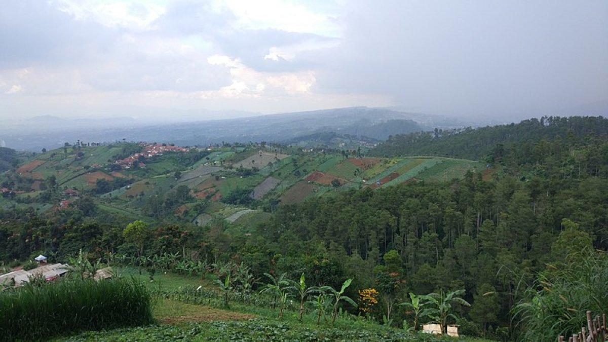 Bukit Moko, satu tempat wisata Bandung yang sejuk dan cocok buat healing