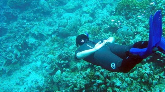 Menyelam dan snorkeling di Bunaken, Sulawesi Utara, menjadi kegiatan wisata yang menyenangkan. Terumbu karang dan aneka jenis ikan menjadi daya tarik kawasan ini.