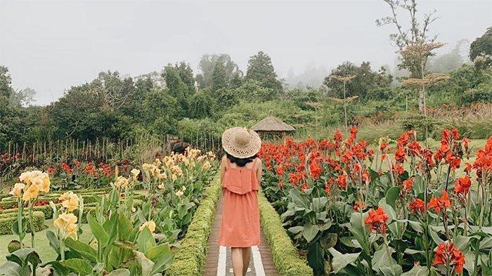 Bunga-bunga di The Blooms Garden